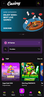 Unlocking Success with Casiny Partners in the Online Casino Industry